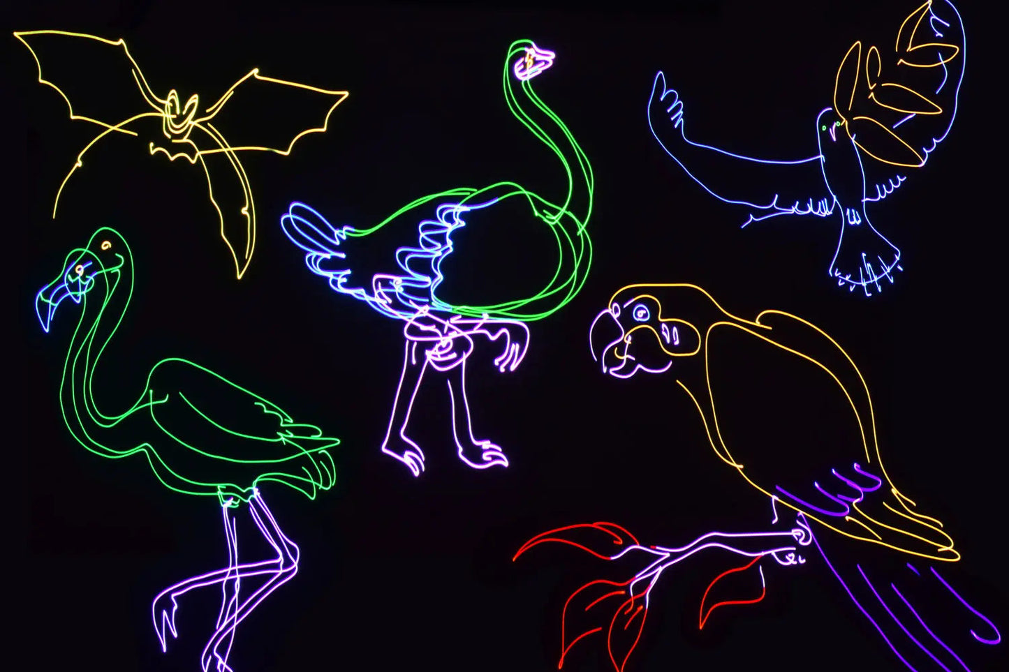 Animate Smart: RGB Smart Animation Laser