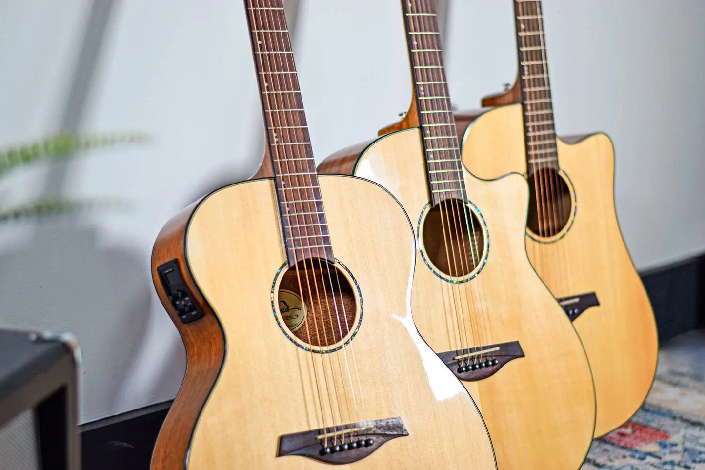 Sevinia Sevinia W41C Solid Spruce Top with Mahogany Back & Sides