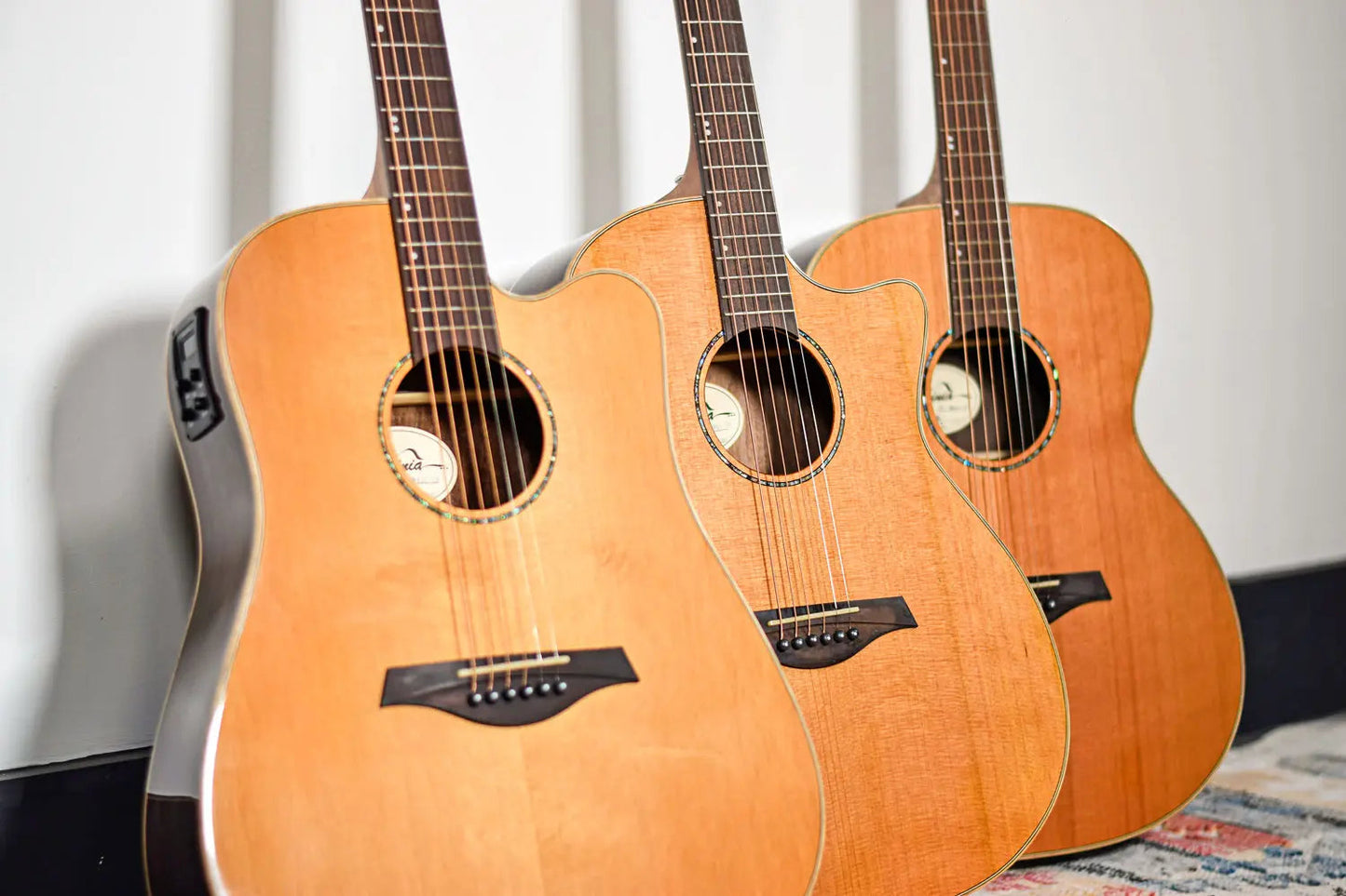 Sevinia Sevinia GA41C Solid Cedar Top with Rosewood Back & Sides